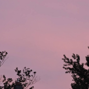 抢女友速成班漫画免费读漫画下拉式
